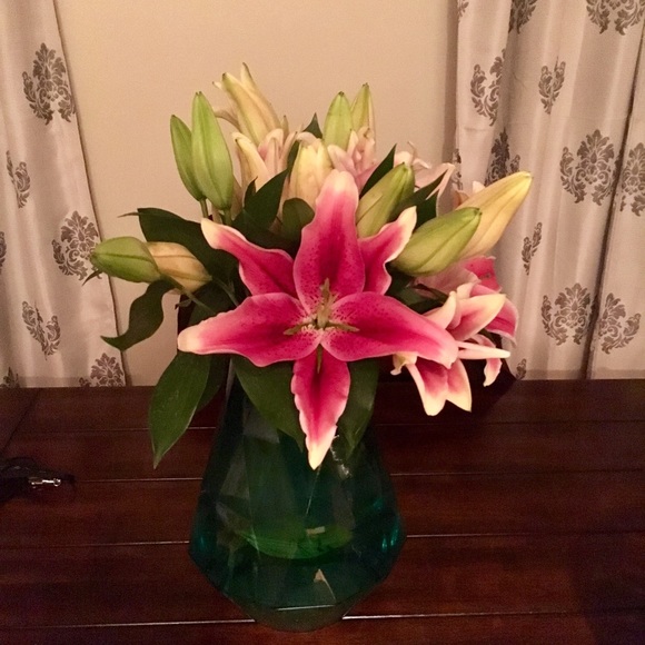 Meet your Posher, Maddie - Picture 1 of 1